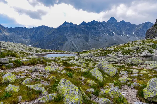 yüksek tatras dağ gölü