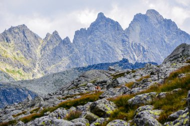 Dağları ve ormanları olan güzel bir dağ manzarası