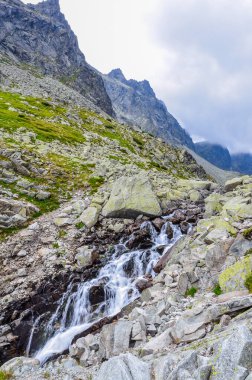 Dağlardaki dağ nehri