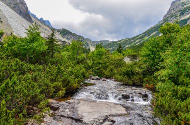 Dağlarda güzel bir şelale.