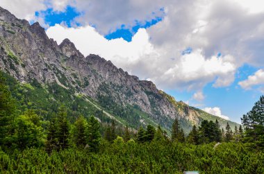 Dağlardaki dağ nehrinin güzel manzarası