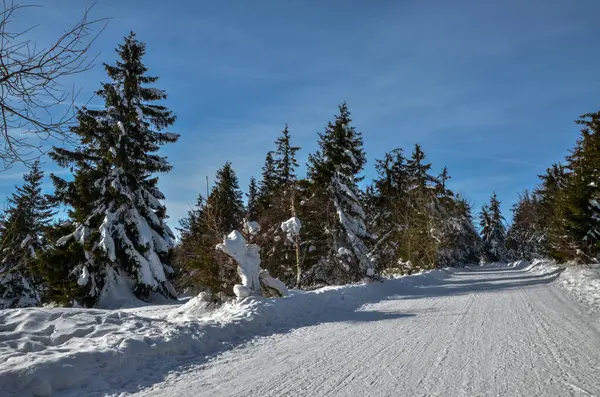 Winterwandelen Alpen Duitsland — Stockfoto