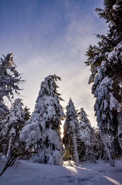 Winterlandschap Met Besneeuwde Bergen Pustevny — Stockfoto