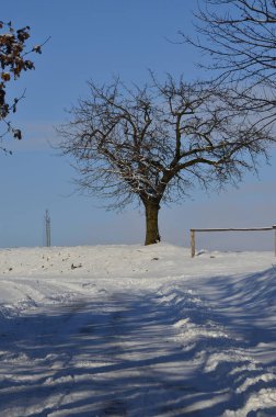 Karlı kış manzarası - ağaçlarla kaplı, şehir Hnevosice