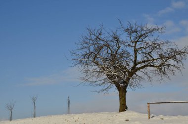 Karlı kış manzarası - ağaçlarla kaplı, şehir Hnevosice