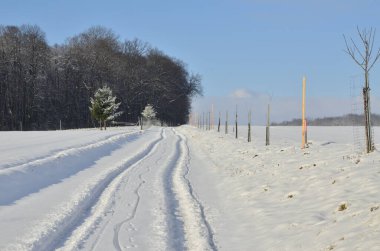 Karlı kış manzarası - ağaçlarla kaplı, şehir Hnevosice