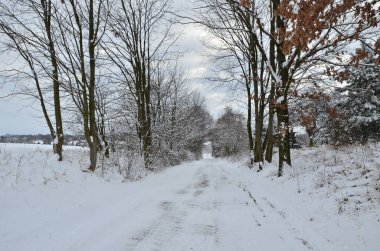 Kış kar ormanlarında yol