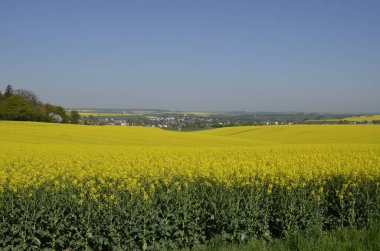 Tecavüz alanlarının manzara görüntüsü
