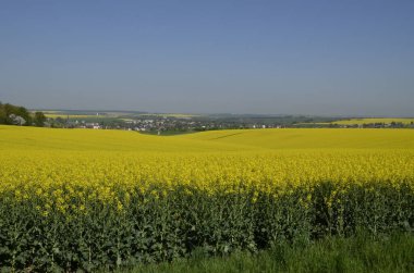 Doğanın güzel manzarası