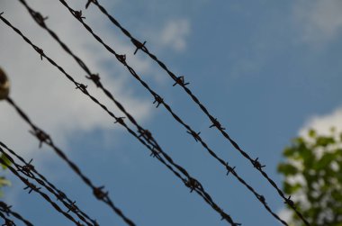 Dikenli tel arka plan, mavi gökyüzü