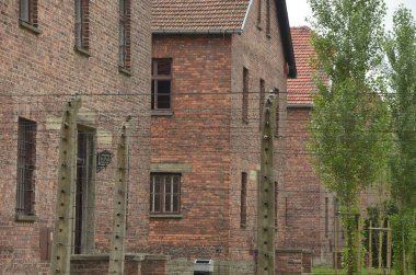 Nazi Yahudi Soykırımı Auschwitz Anıtı 'nda iç mekanlar ve koleksiyonlar, tuğla binalar, Polonya
