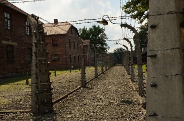 Polonya şehri ve Nazi Yahudi katliamı anısına bir anıt.