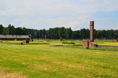 Auschwitz toplama kampı - Brezinka, bahar, Polonya 'daki Yahudi Soykırımı Anıtı