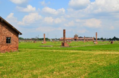 Auschwitz toplama kampı - Brezinka, bahar, Polonya 'daki Yahudi Soykırımı Anıtı