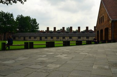 Auschwitz toplama kampı - Brezinka, bahar, Polonya 'daki Yahudi Soykırımı Anıtı