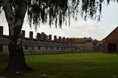 Auschwitz toplama kampı - Brezinka, bahar, Polonya 'daki Yahudi Soykırımı Anıtı