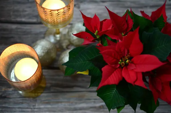 a poinsettia and two candles on a table