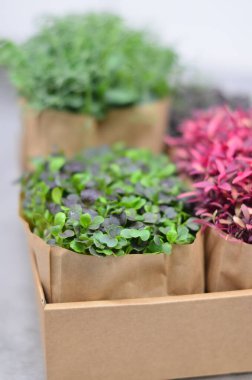 Bir kutu dolusu küçük bitki ve bir kese kağıdı.