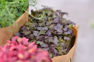 Kese kağıdında bir demet bitki.