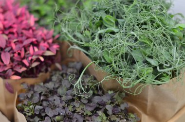 Masada kağıt torbalarda çeşitli bitkiler var.