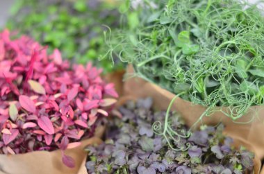 Masadaki kese kağıdında çeşitli sebzeler.