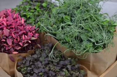 Masadaki kese kağıdında çeşitli sebzeler.