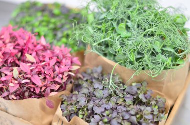 Masadaki kese kağıdında çeşitli sebzeler.