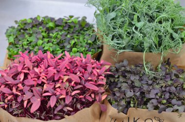 Masadaki kese kağıdında çeşitli sebzeler.