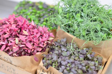 Masadaki kese kağıdında çeşitli sebzeler.