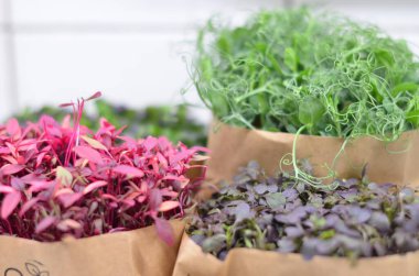 Masadaki kese kağıdında çeşitli sebzeler.