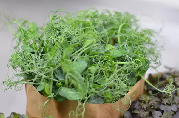 İçinde bir sürü bitki olan bir kese kağıdı.