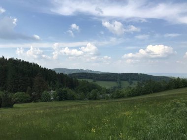 Çek manzarasının güzel arka planı, Rychlebsk dağları, Jeseniky, bahar doğası