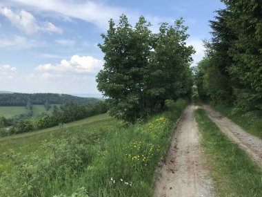 Çek manzarasının güzel arka planı, Rychlebsk dağları, Jeseniky, bahar doğası