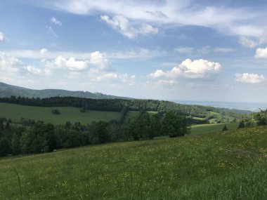 Çek manzarasının güzel arka planı, Rychlebsk dağları, Jeseniky, bahar doğası