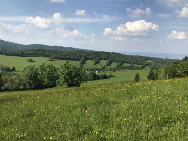 Çek manzarasının güzel arka planı, Rychlebsk dağları, Jeseniky, bahar doğası