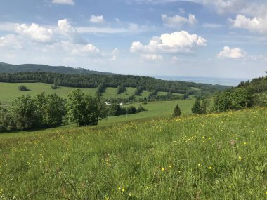 Çek manzarasının güzel arka planı, Rychlebsk dağları, Jeseniky, bahar doğası