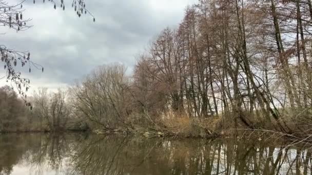 River Forest Cloudy Day — Stock Video