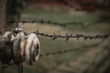 Dikenli tellerin duvarındaki dikenli tel