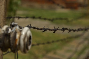 Çitlerdeki dikenli teller.