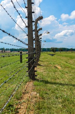 auschwitz - Birkenau, Polonya - Haziran 0 1, 2 0 16: dikenli tel toplama kampı.