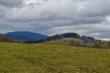 Bulutlu bir günde yeşil bir tarla manzarası