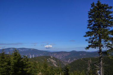 Yazın dağların güzel manzarası