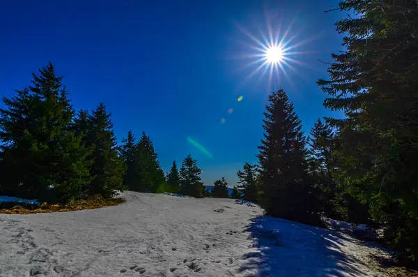 Prachtig Winterlandschap Zonnige Dag — Stockfoto