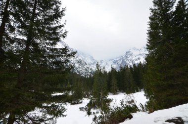 Alpler Dağları kış manzara