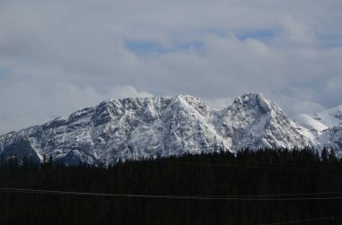 Kış dağı manzarası. yüksek kaliteli fotoğraf