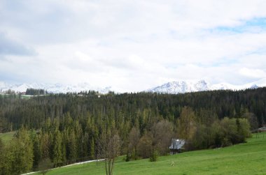 Yeşil çimenleri ve mavi gökyüzü olan güzel dağ manzarası