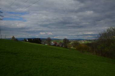 Ağaçlar ve arka planda bulutlu gökyüzü olan yeşil çimlerin güzel bir görüntüsü.