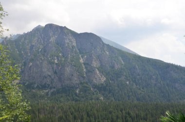 Tatras, Slovakya 'daki dağ manzarası. Yaz zamanı..