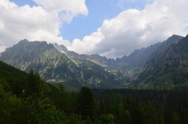 Yeşil çimenli ve mavi gökyüzü olan dağ manzarası