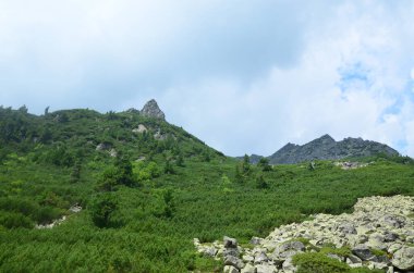 Dağ nehri ile güzel manzara
